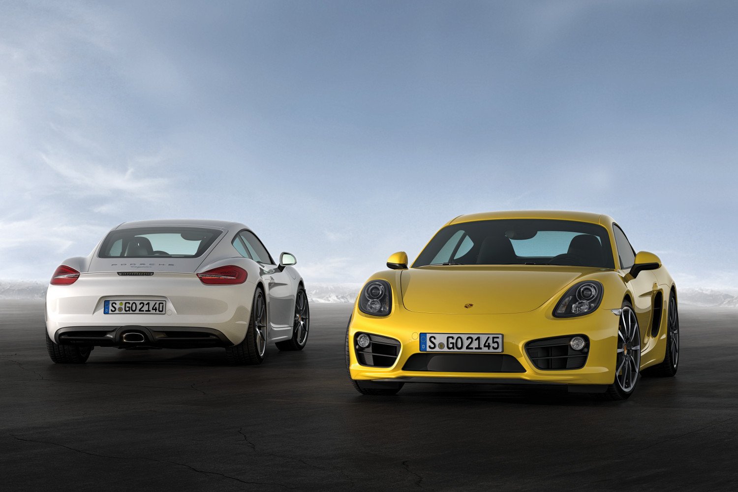 Porsche Cayman 981 Model Variants
